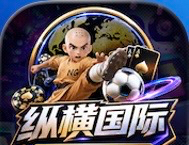 纵横国际